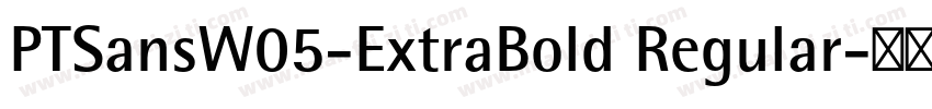 PTSansW05-ExtraBold Regular字体转换